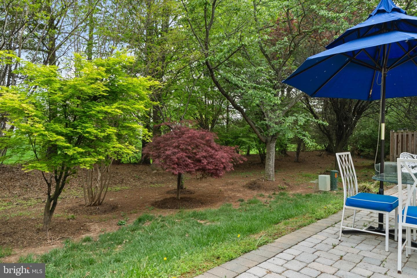 44474 Livonia Terrace photo 41