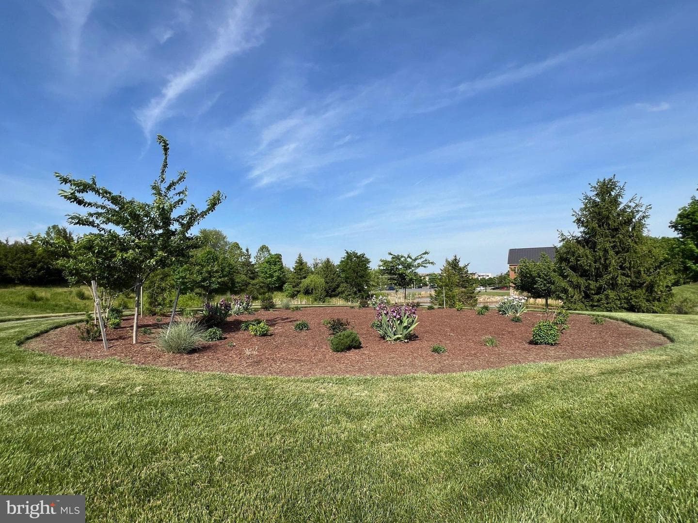 24247 Purple Finch Drive photo 54