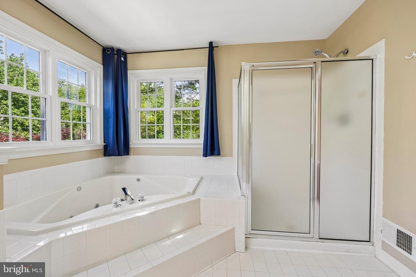 20547 Courier Ridge Place photo 37