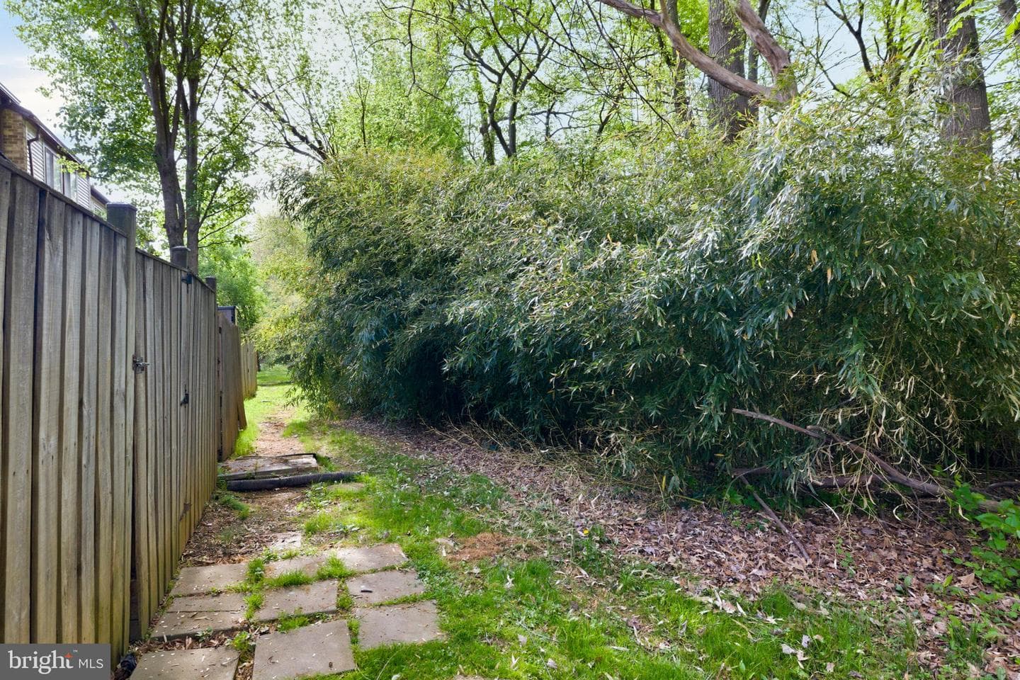 614 Giles Place photo 17