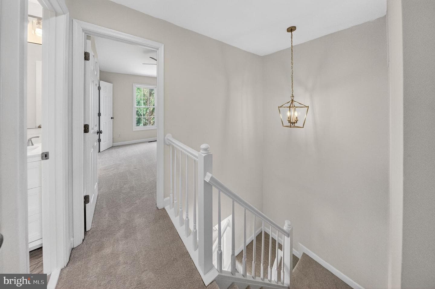 21152 Hedgerow Terrace photo 40