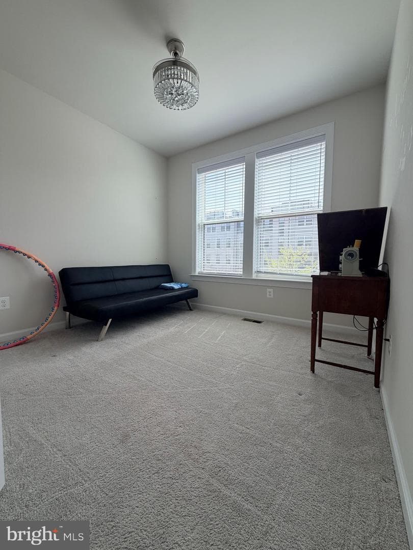 45103 Cappamore Terrace photo 32