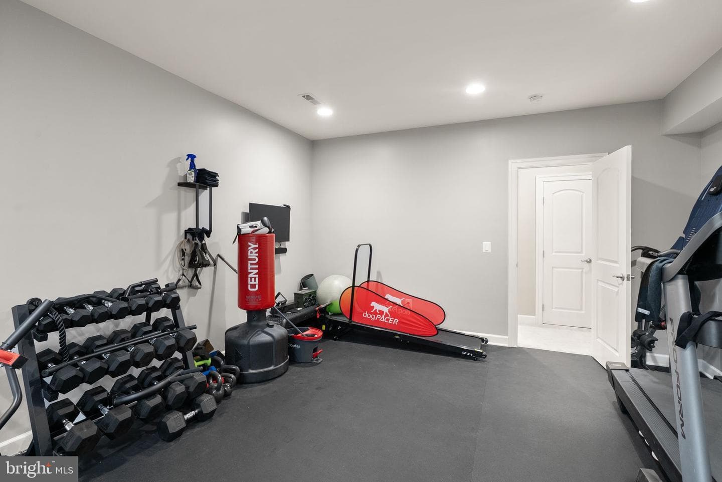 41486 Carriage Horse Drive photo 47