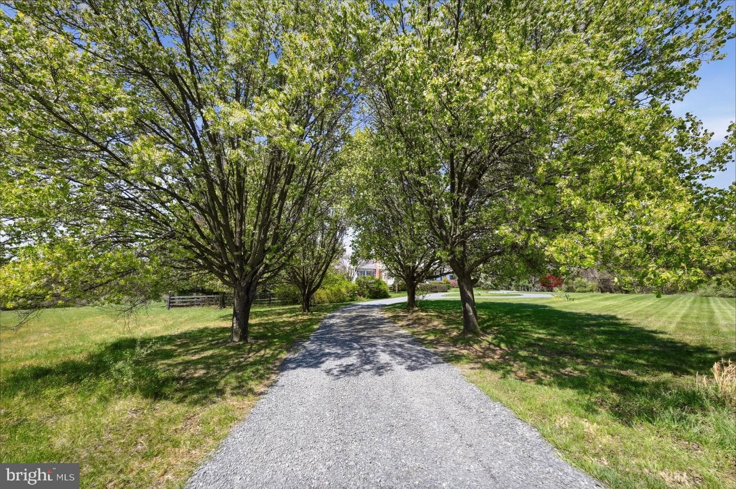 12282 Enfield Lane photo 3