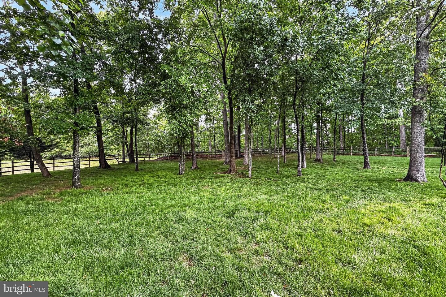 25825 Spring Farm Circle photo 68