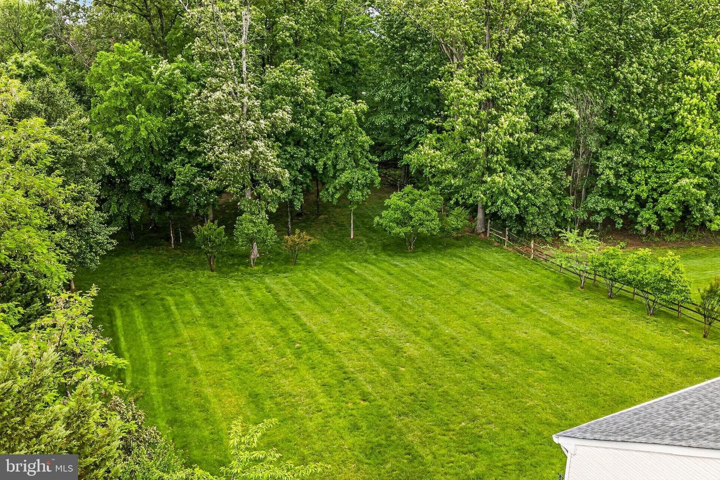 25825 Spring Farm Circle photo 75