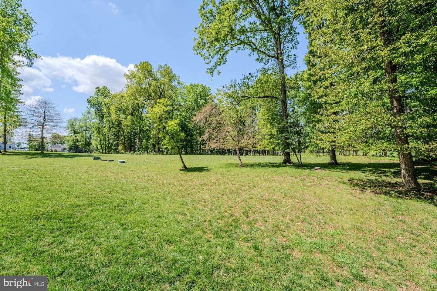 14963 Creek Point Ct photo 43