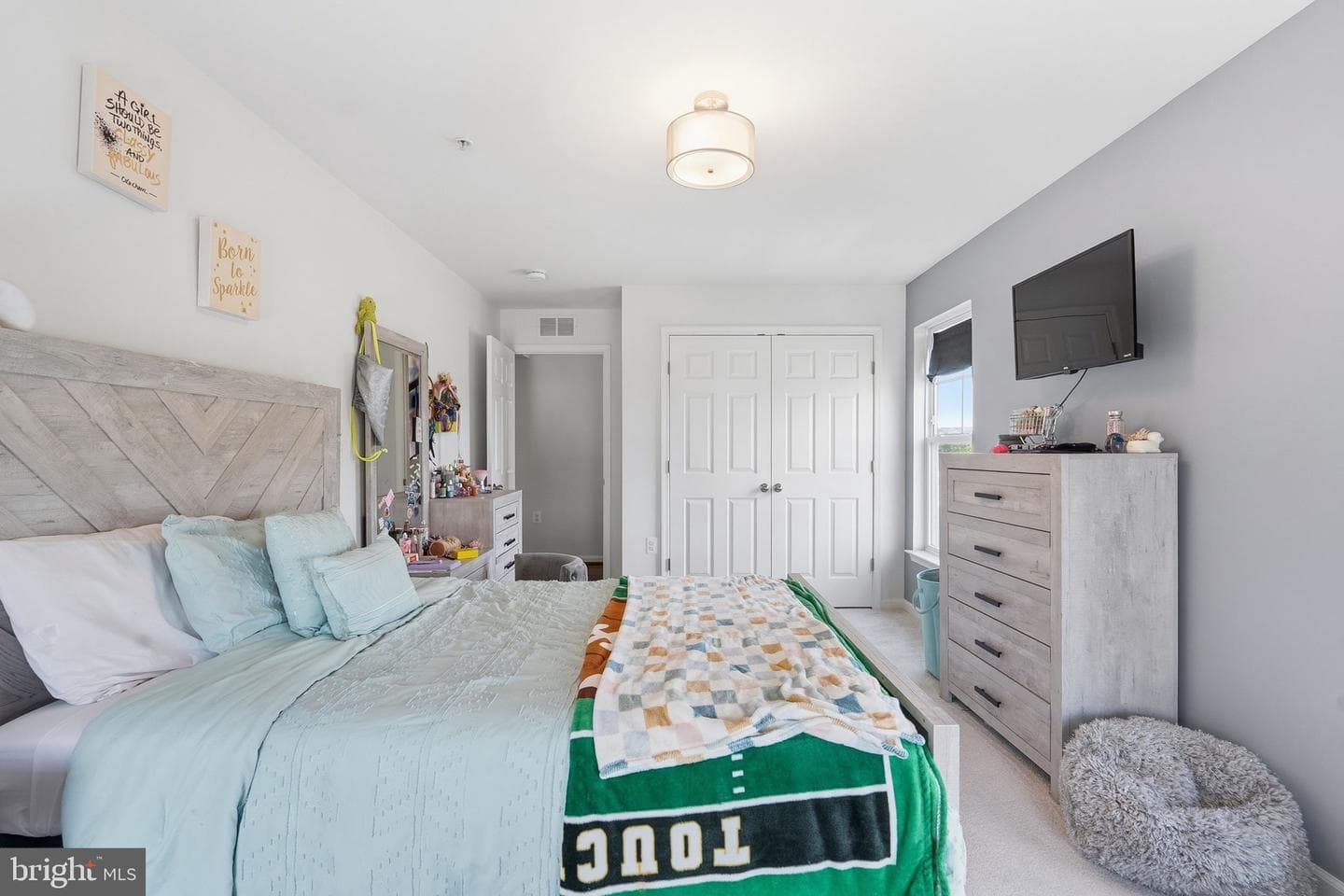 42167 Canary Grass Square photo 26