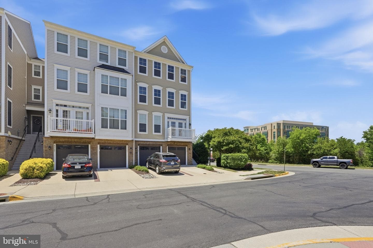 42167 Canary Grass Square photo 47