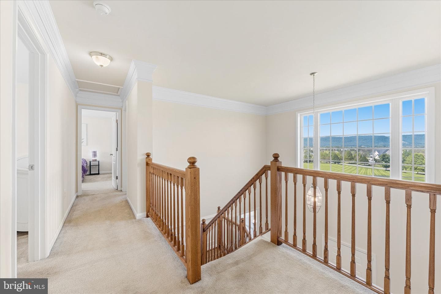11908 Stonehouse View Court photo 22