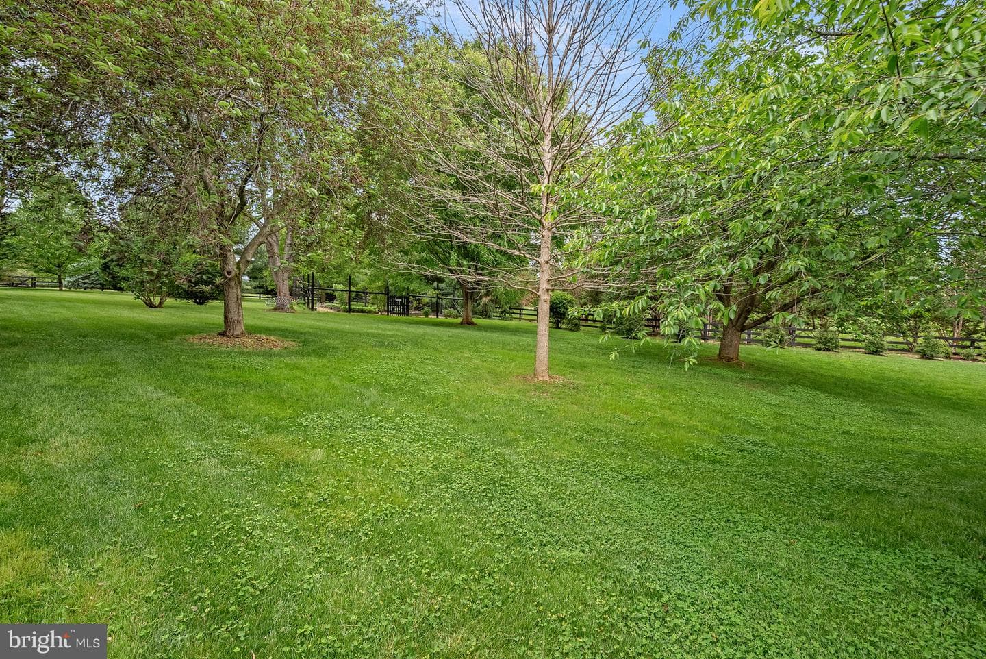 17219 Westfield Place photo 82