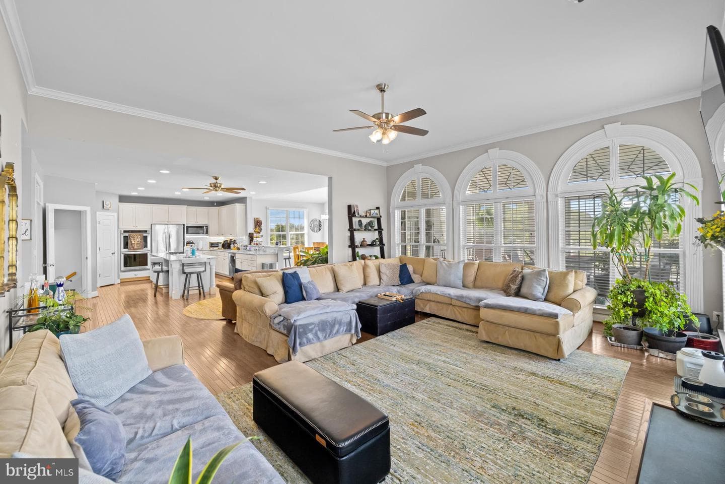 38547 Piggott Bottom Road photo 45