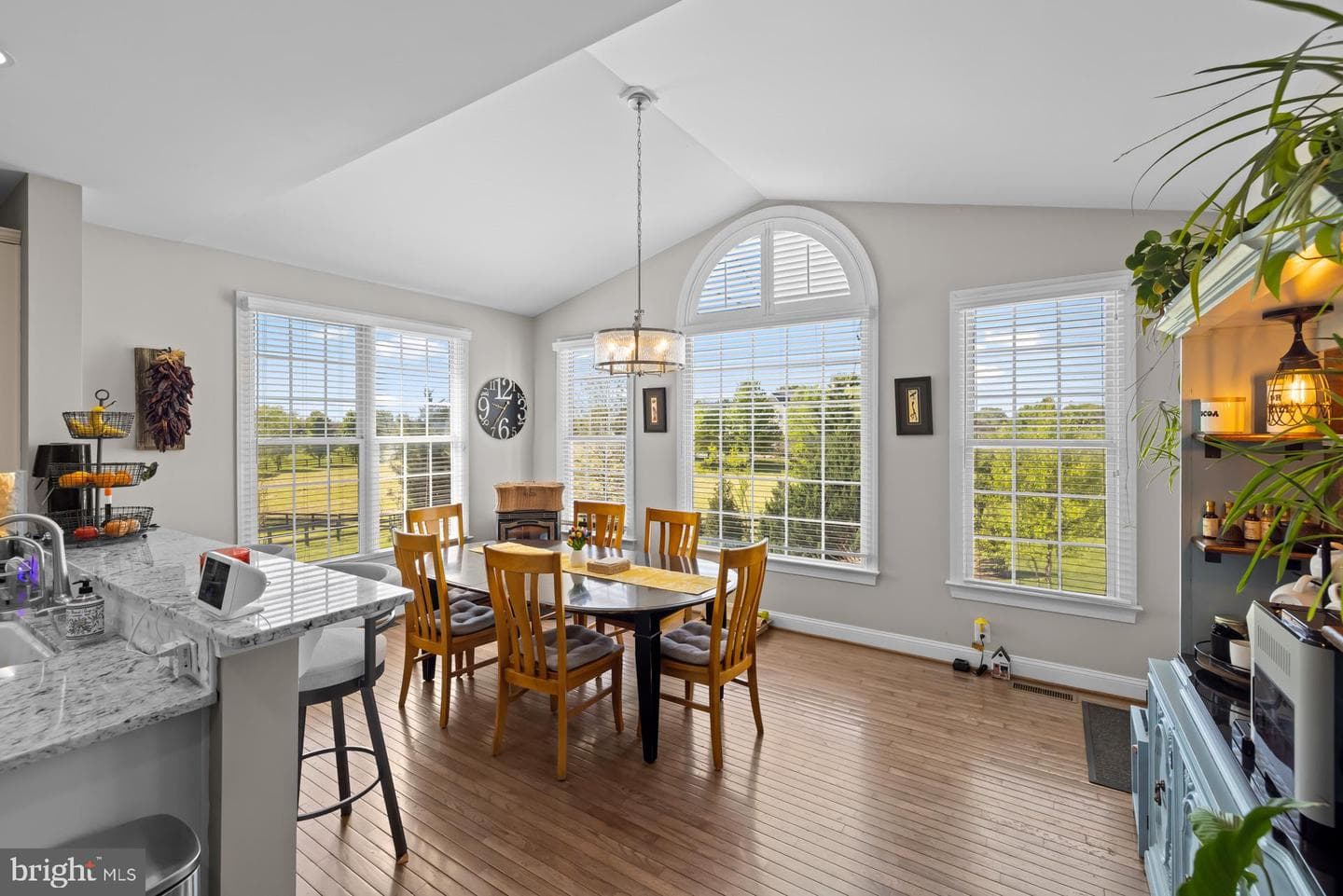 38547 Piggott Bottom Road photo 48