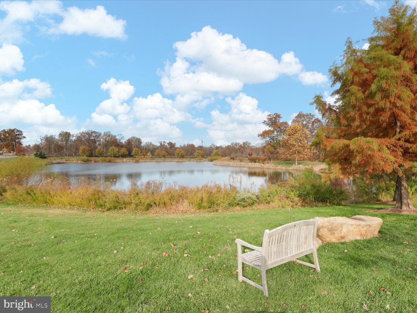 25970 Liquidambar Lane photo 78