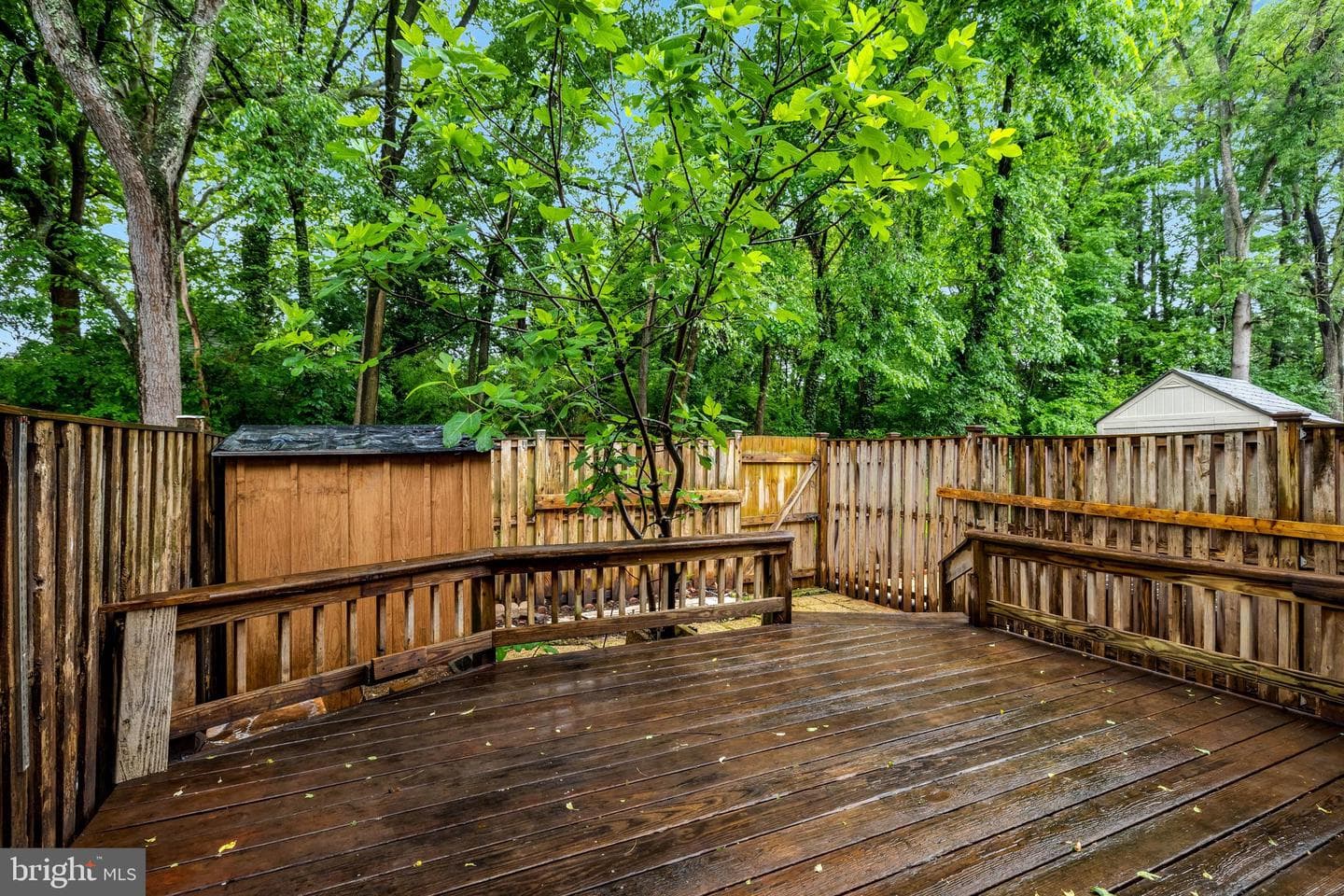 43 Sugarland Square Court photo 31