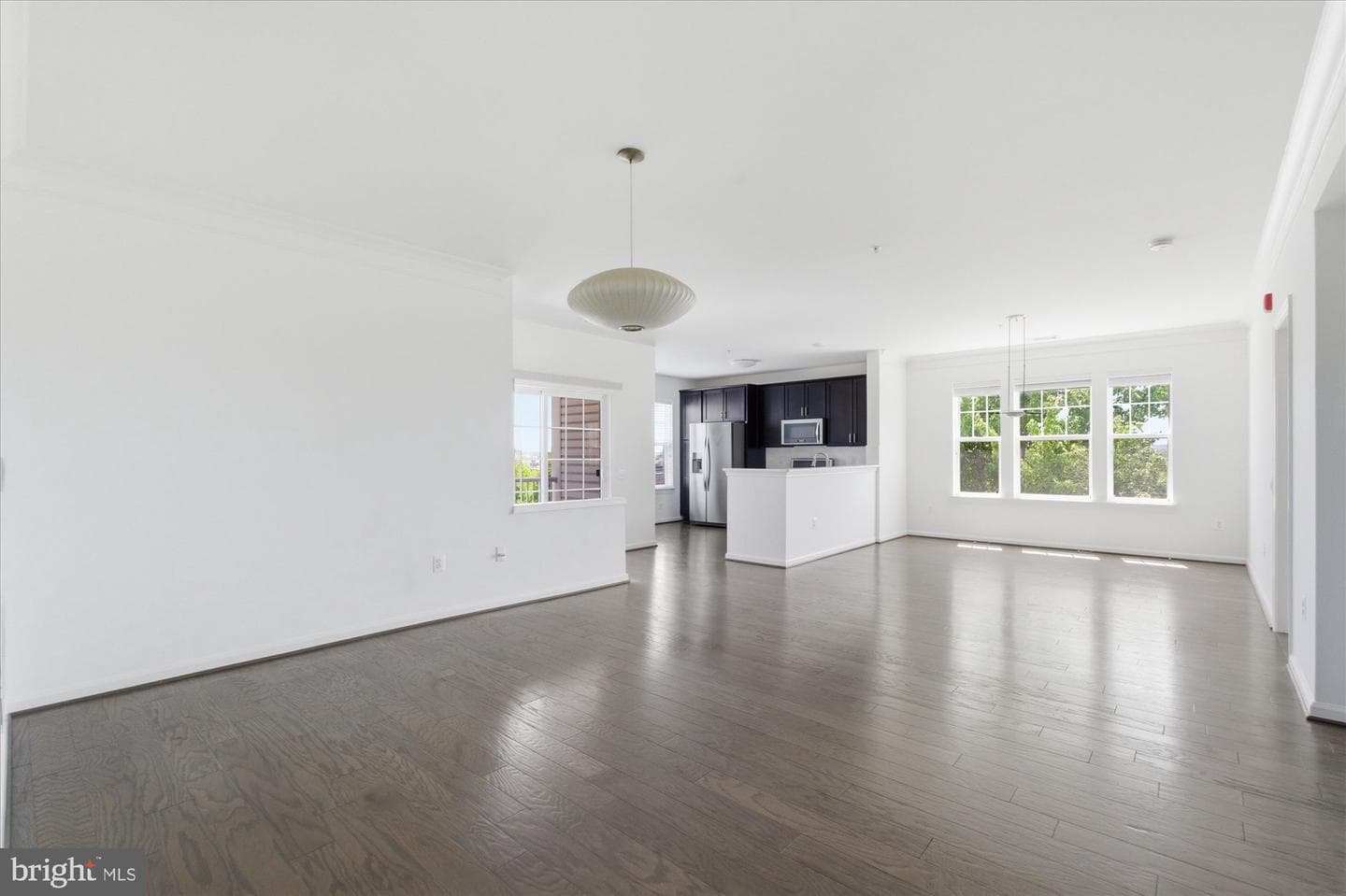 20650 Hope Spring Terrace #301 photo 11