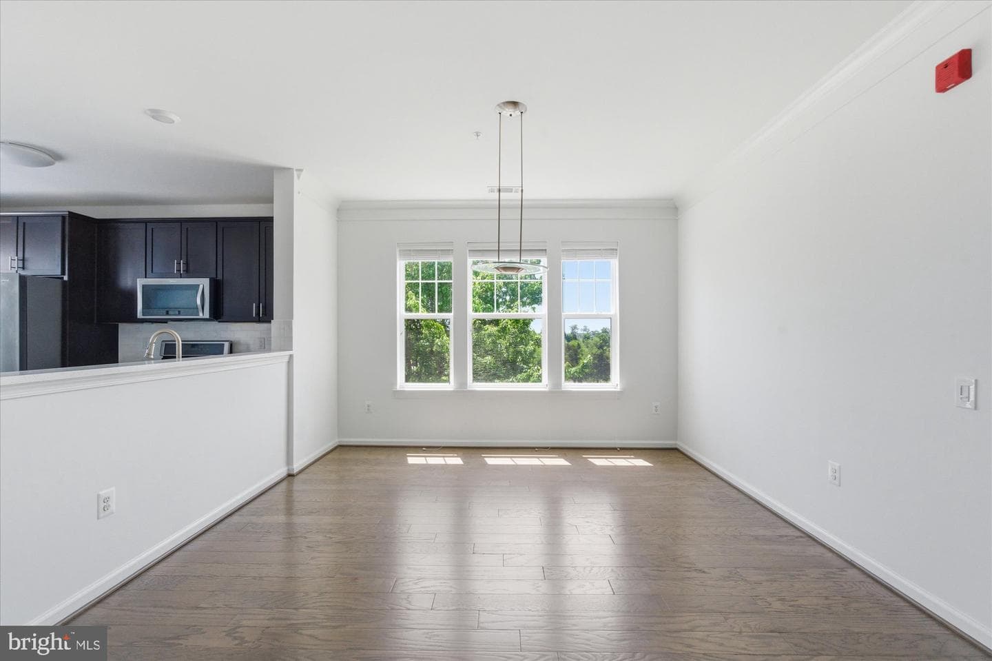 20650 Hope Spring Terrace #301 photo 17