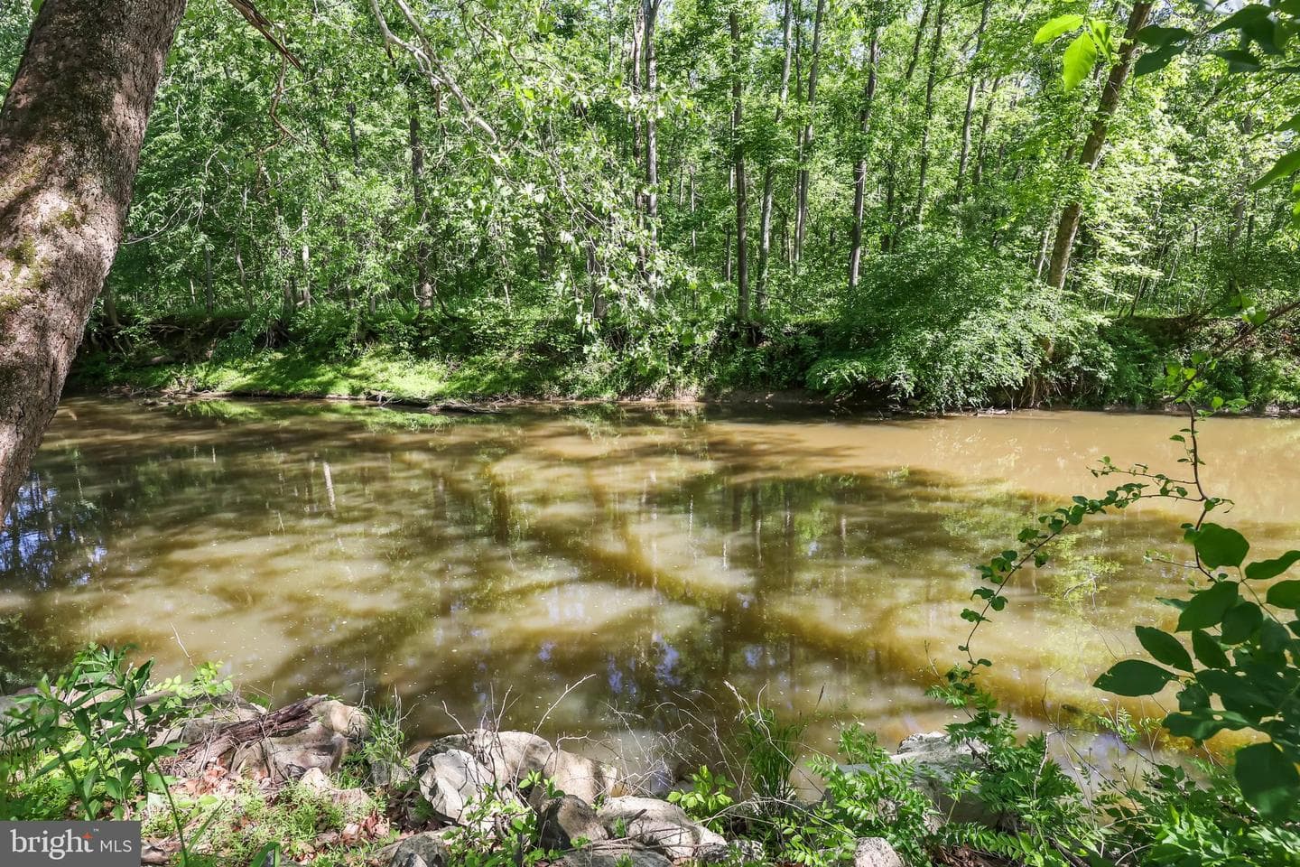 13316 Downey Mill Road photo 28