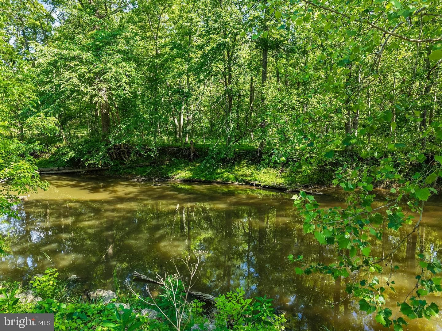 13316 Downey Mill Road photo 29