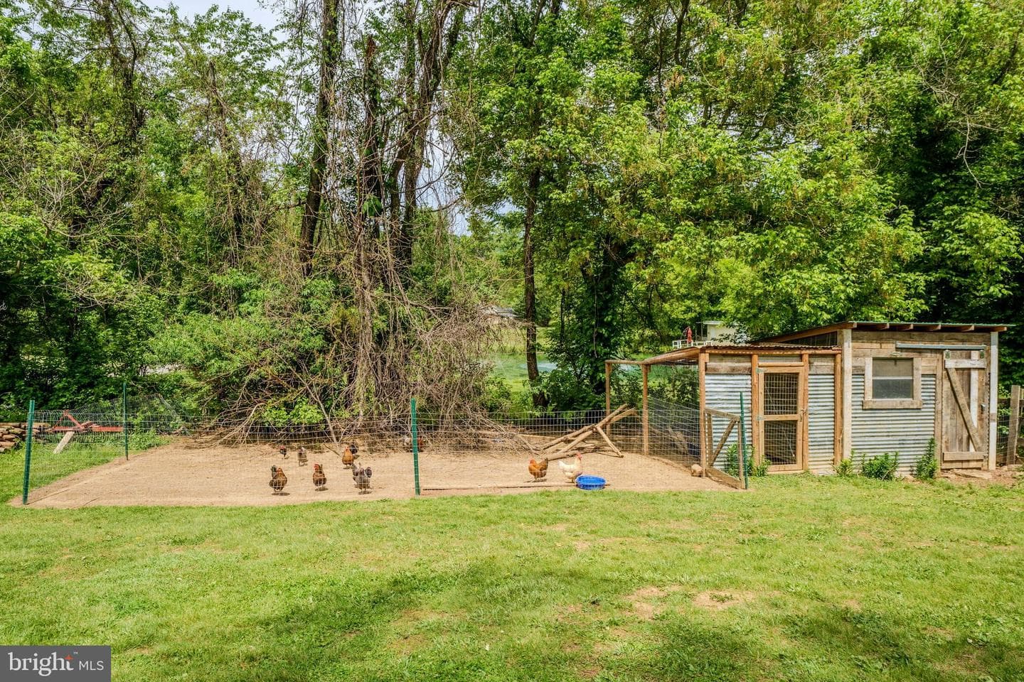 11404 Russell Road photo 38