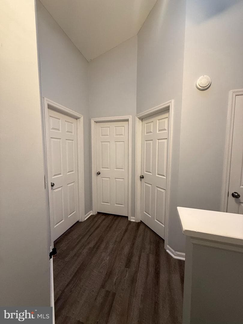 43962 Minthill Terrace photo 35