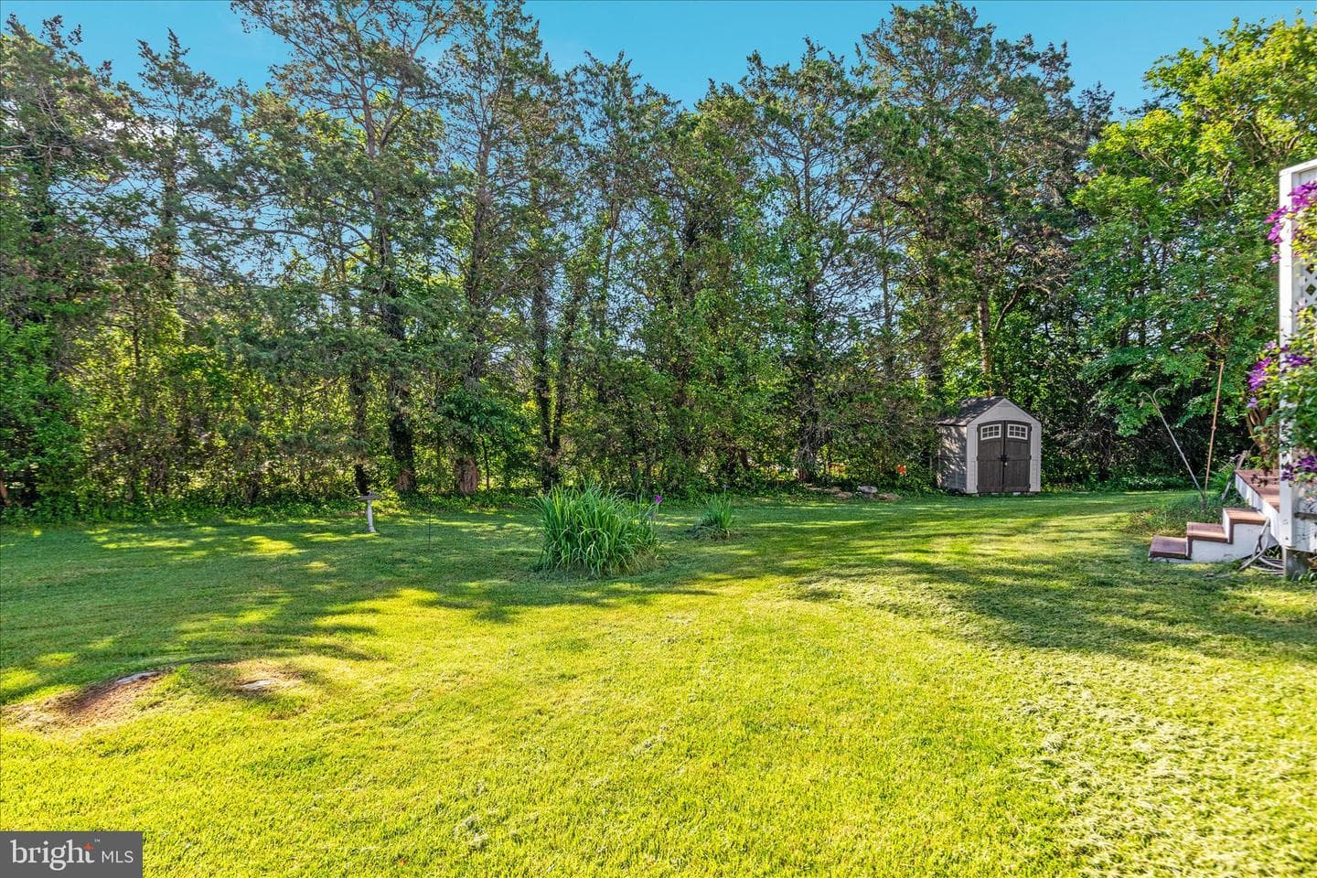 43870 Ludlum Court photo 54