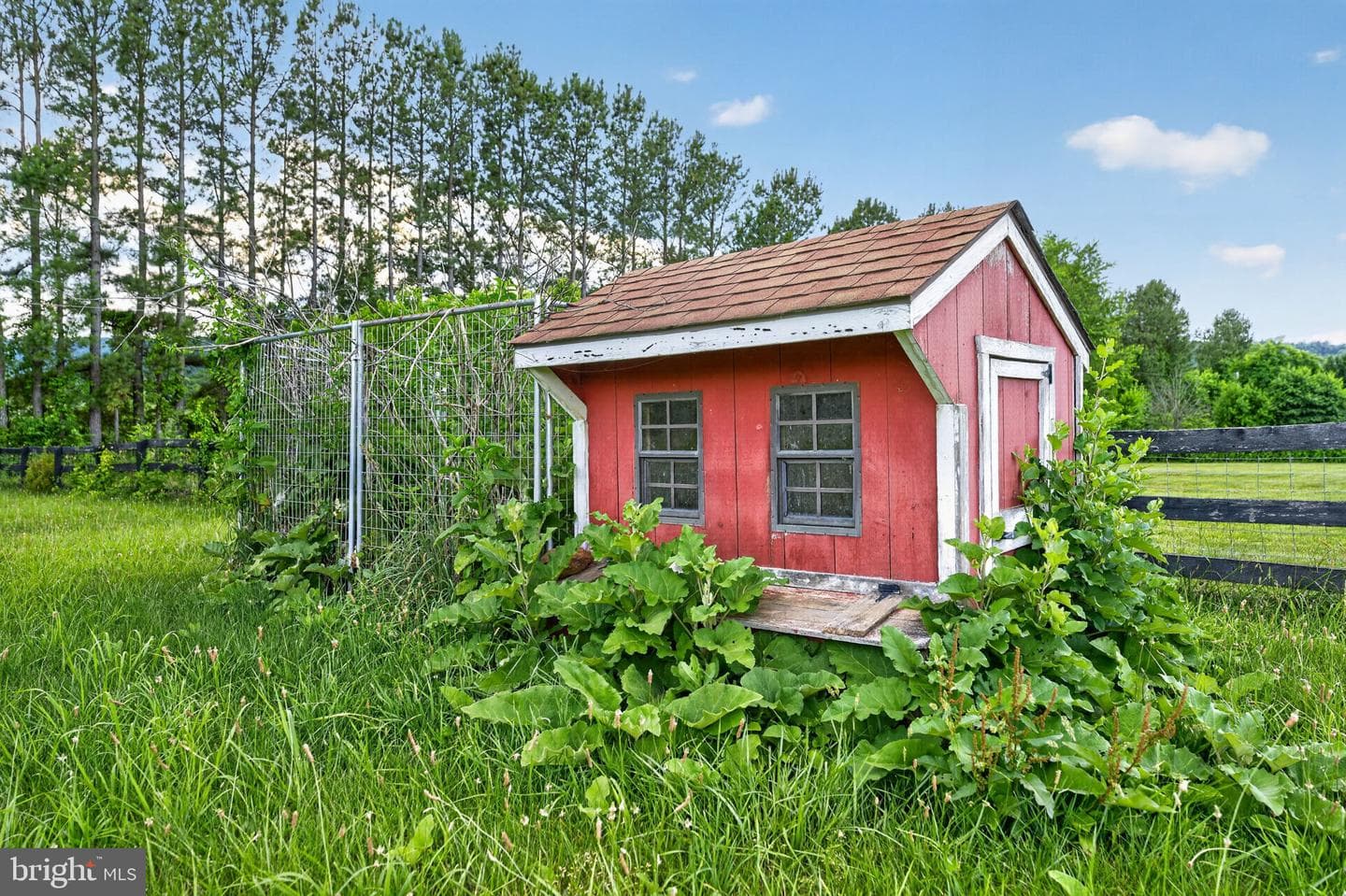 18616 Foggy Bottom Road photo 100