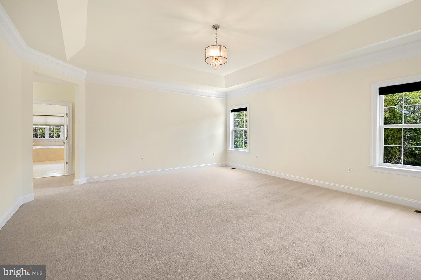42115 Pleasant Forest Court photo 35