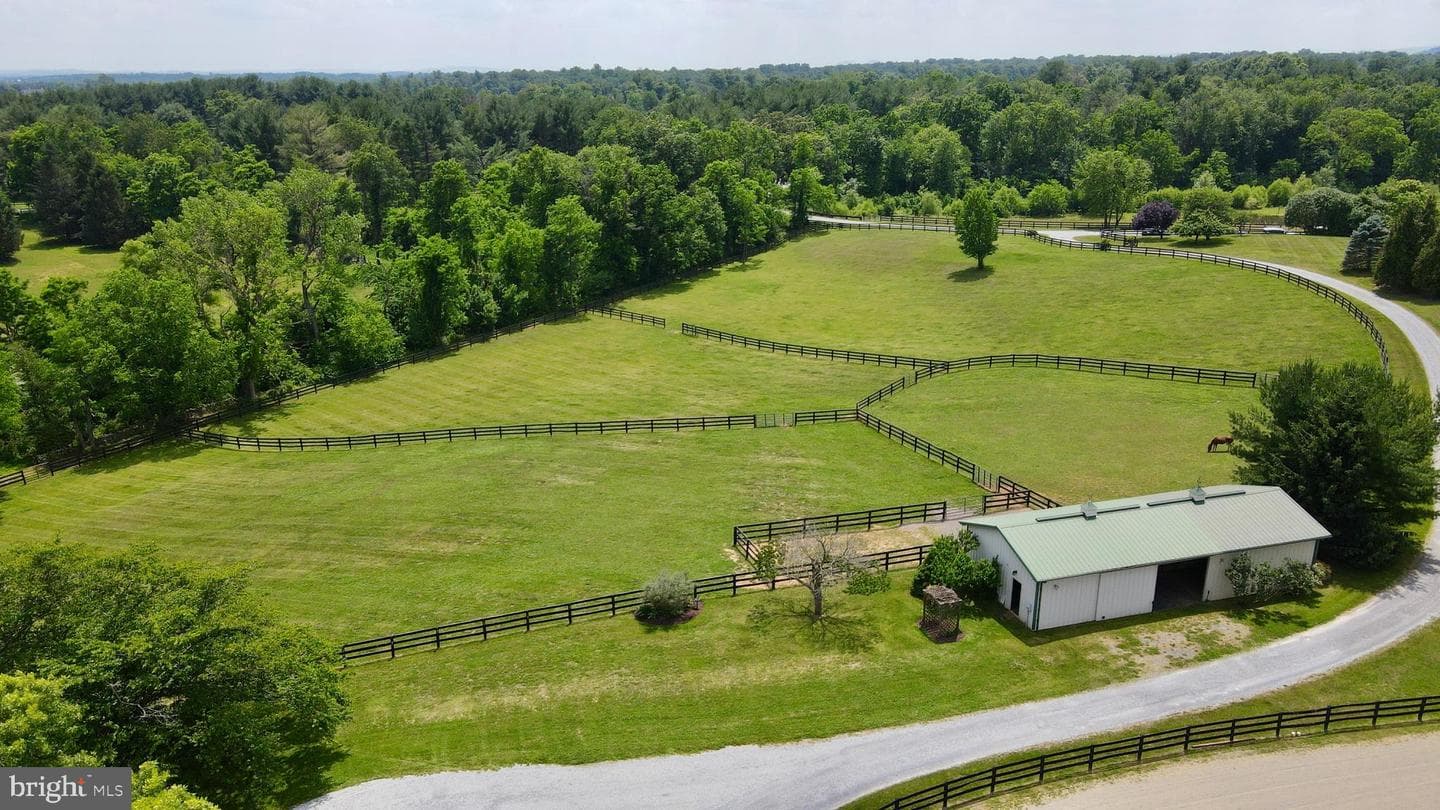 34294 Bridgestone Lane photo 7