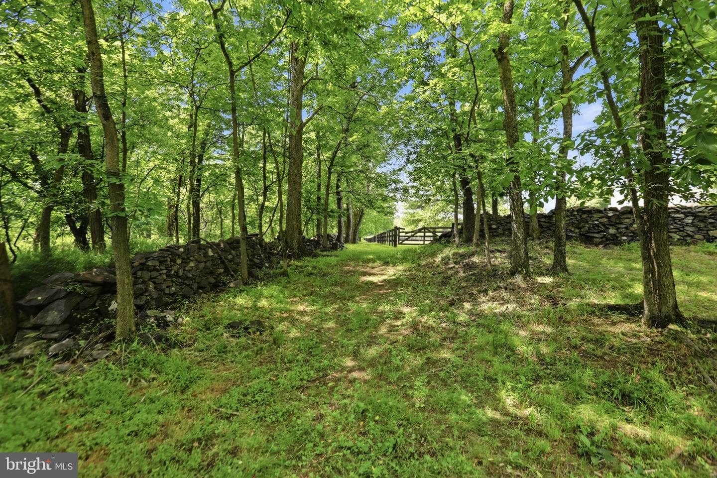 34294 Bridgestone Lane photo 78