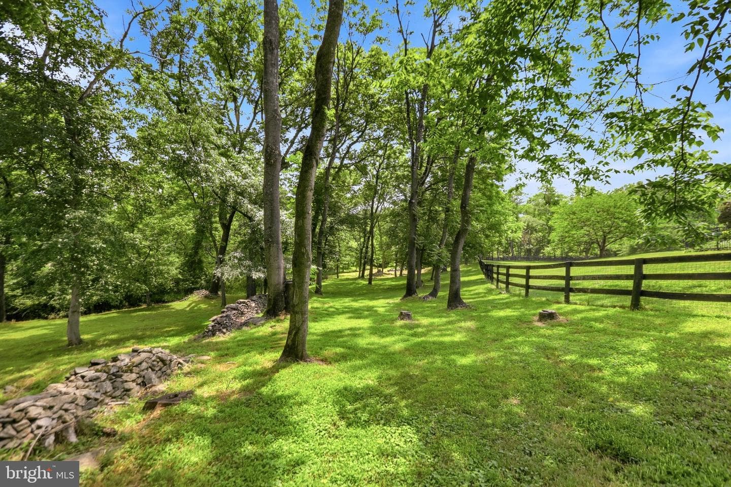 34294 Bridgestone Lane photo 81