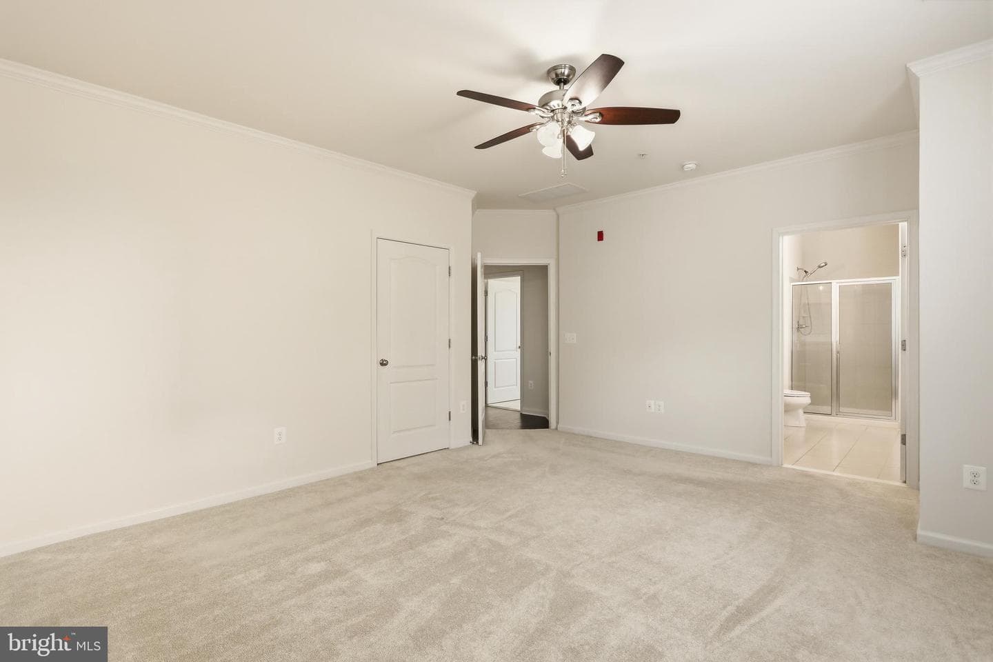 24636 Woolly Mammoth Terrace #207 photo 31