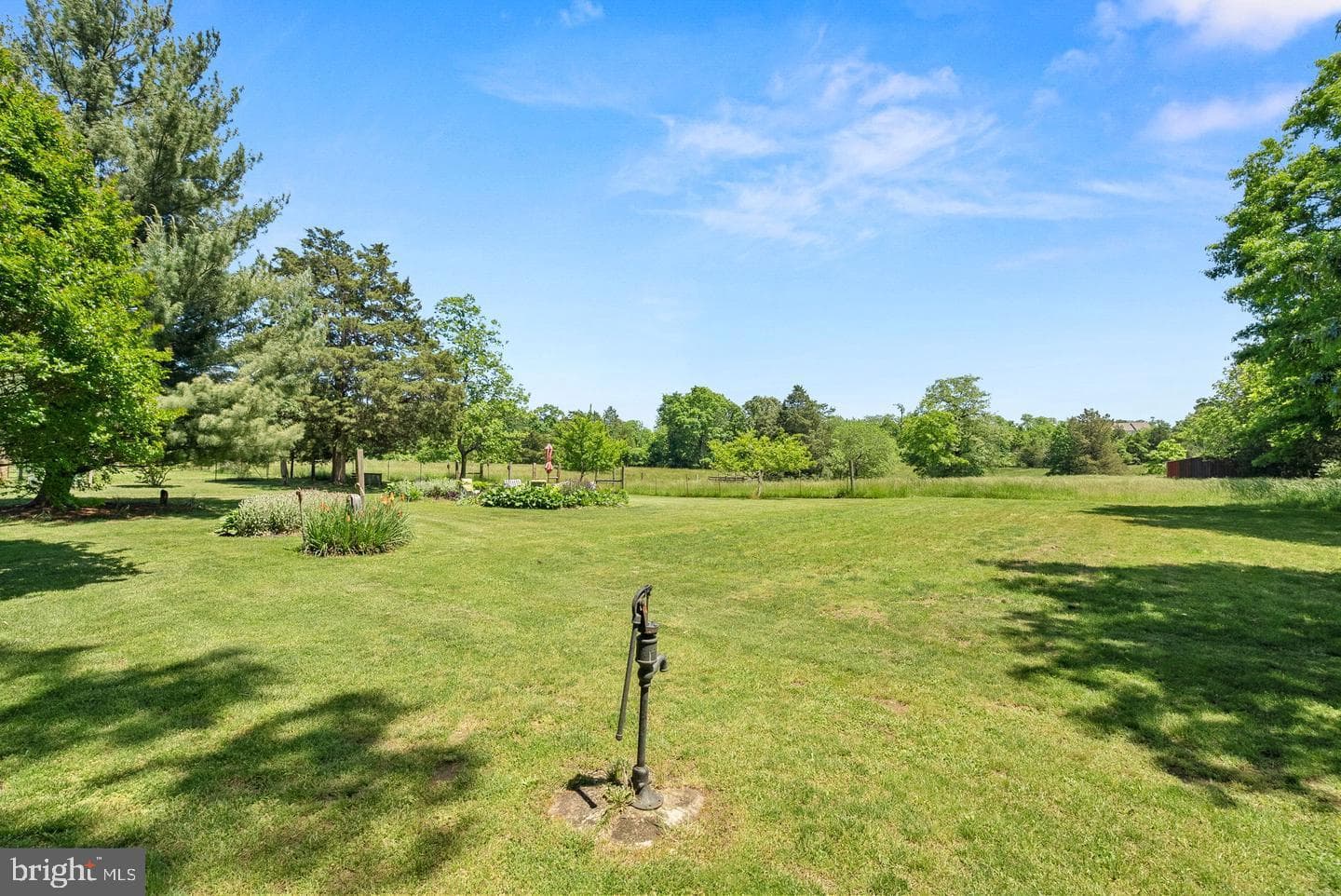 43537 Graves Lane photo 3
