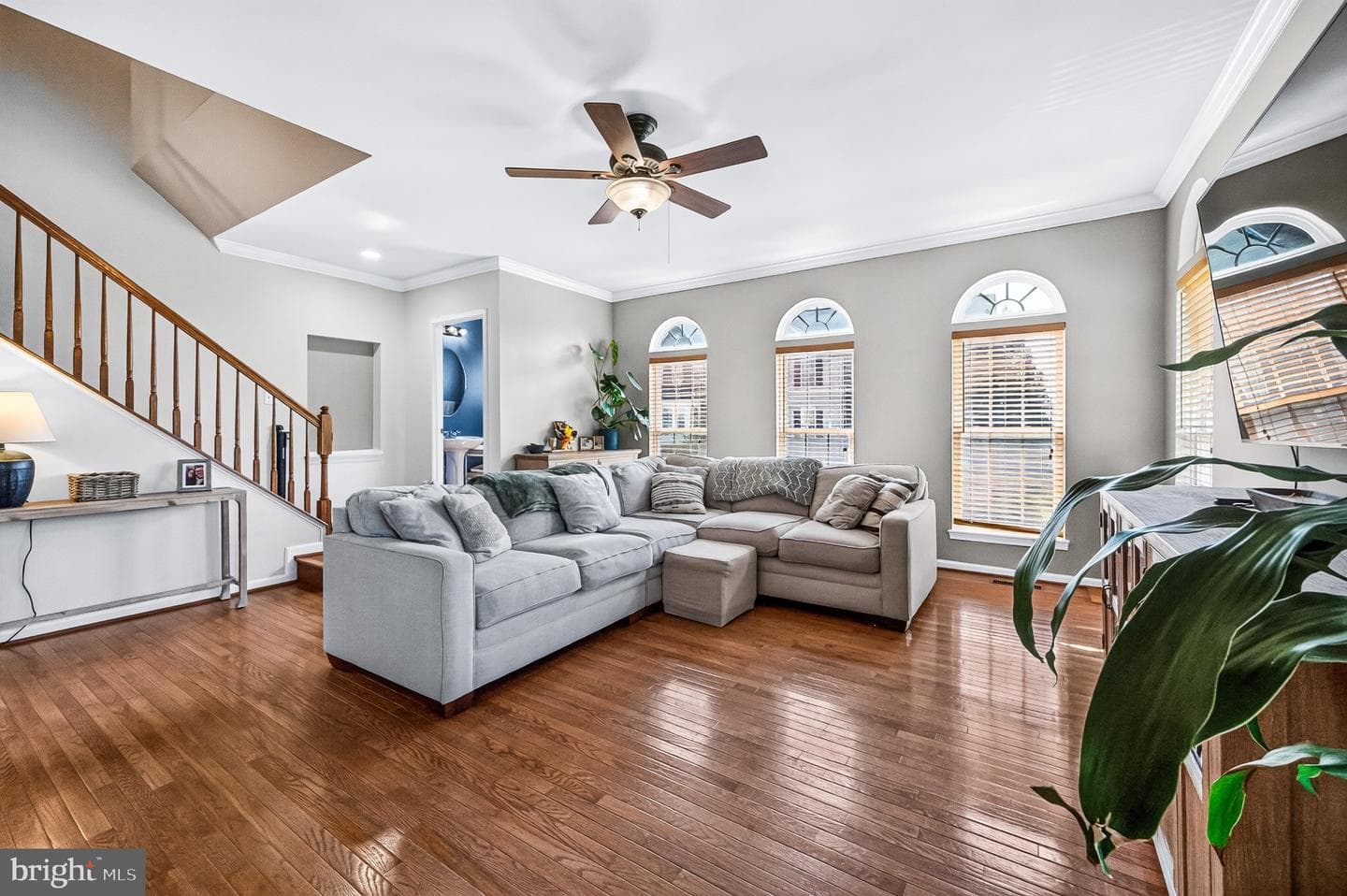 25399 Peaceful Terrace photo 9
