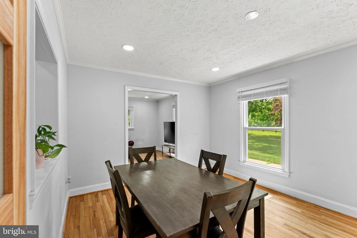 20103 Shelburne Glebe Road photo 6