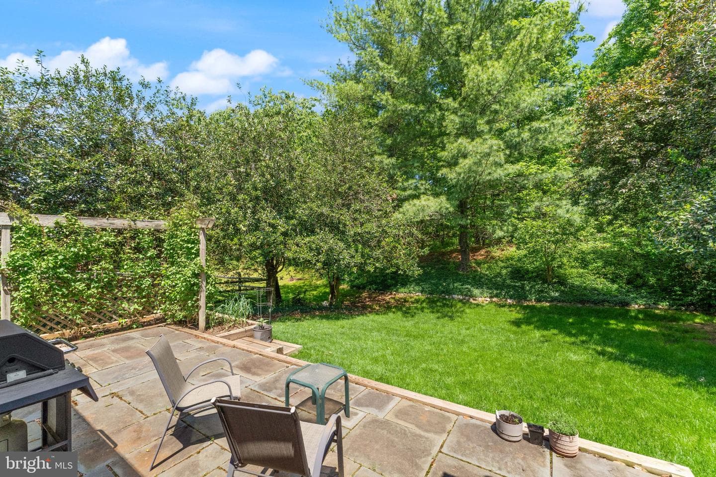21004 Fowlers Mill Circle photo 44