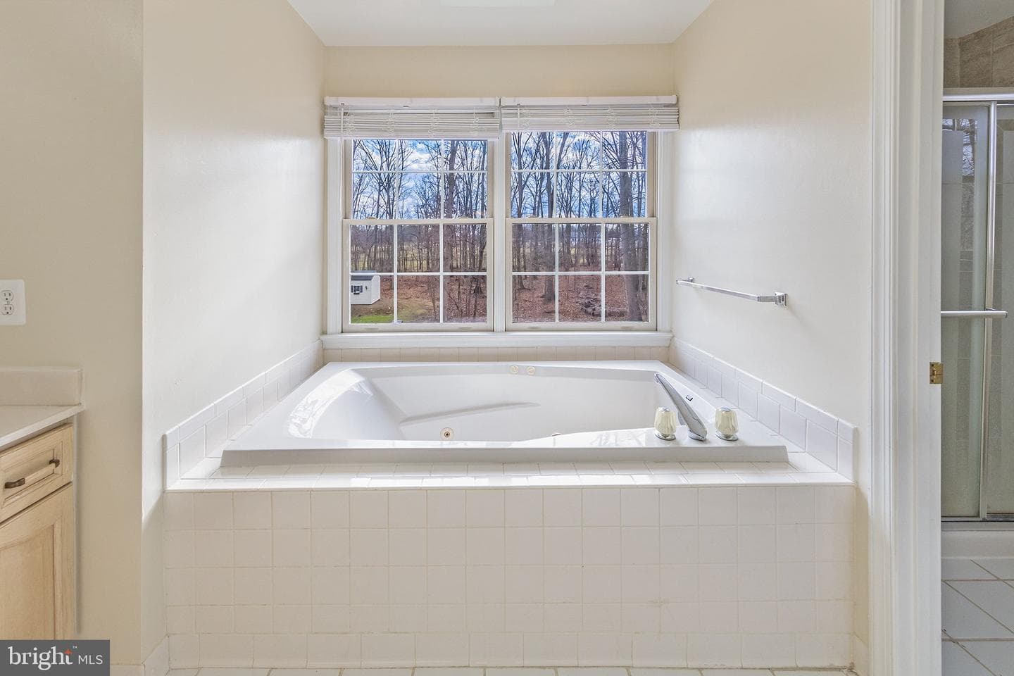 36767 Pelham Court photo 21