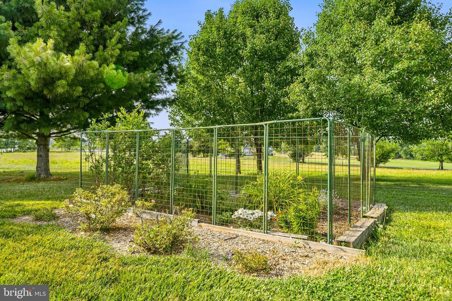 12025 Lindsey Corner Lane photo 61