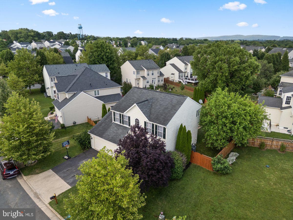 14 Potterfield Drive photo 24