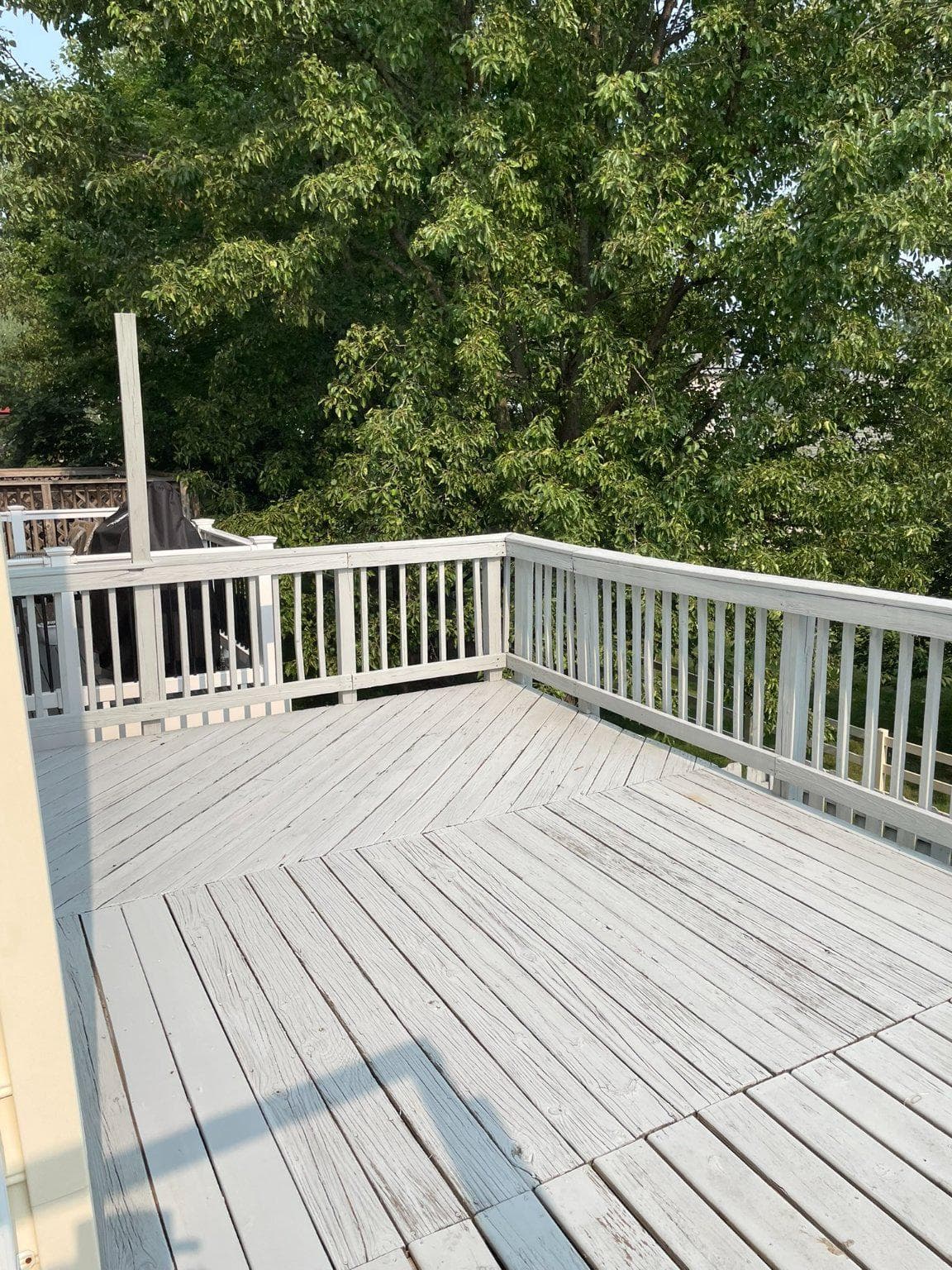 35935 Clover Terrace photo 7