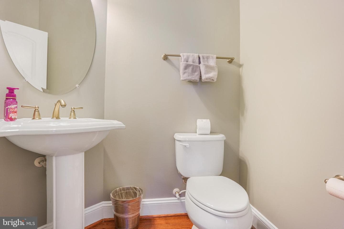 41443 Carriage Horse Drive photo 32