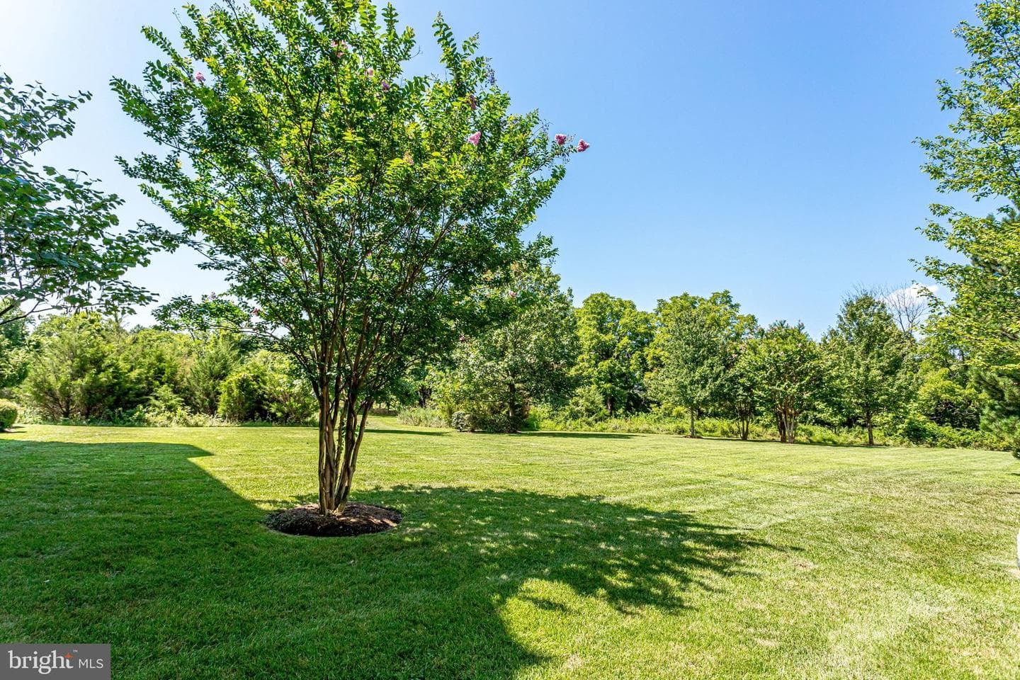 44177 Paget Terrace photo 53
