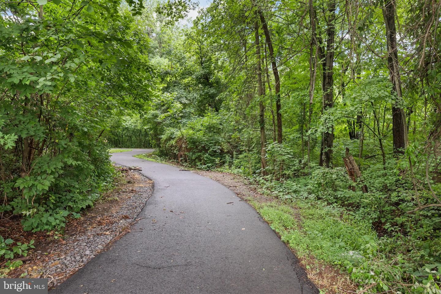 20837 Houseman Terrace photo 42