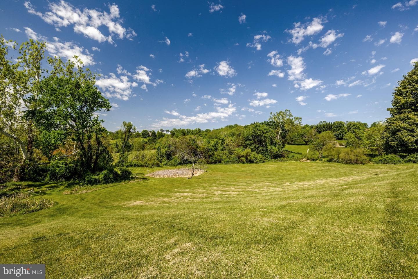 17485 White Gate Place photo 45