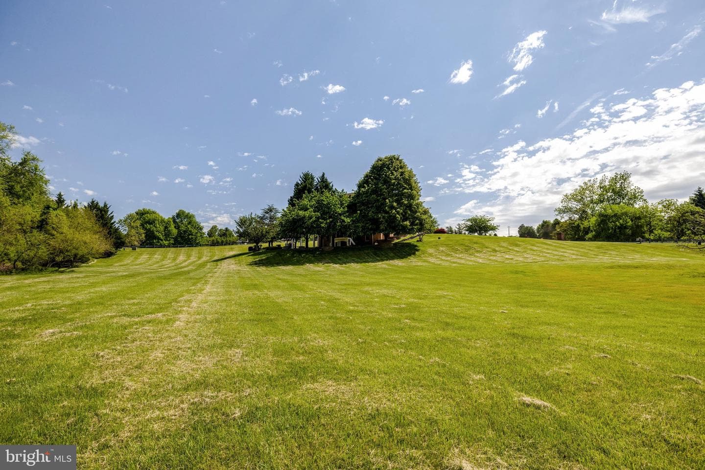 17485 White Gate Place photo 46