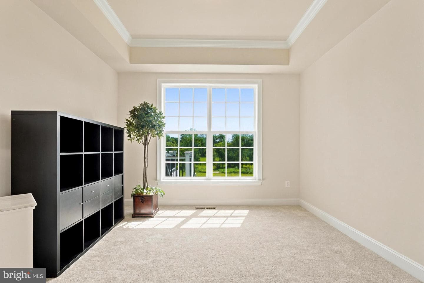 12720 Snowbird Court photo 57