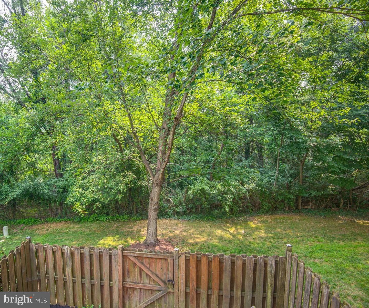 106 Hackley Court photo 31