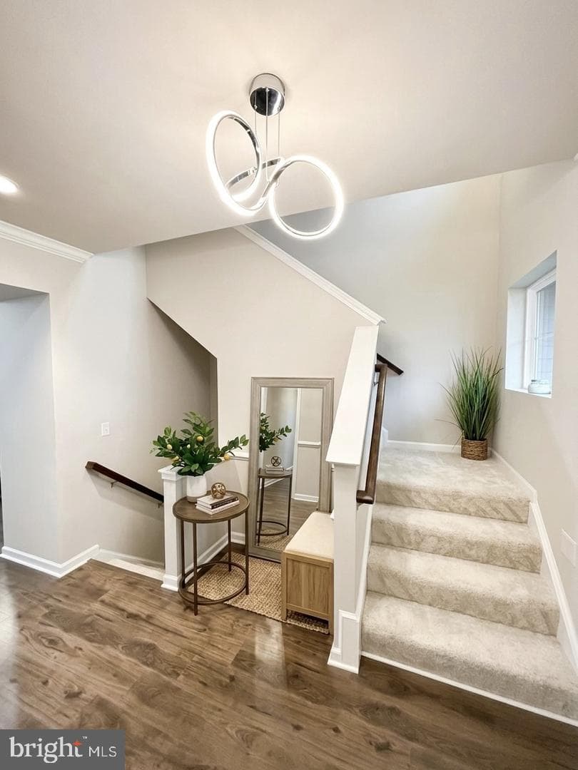 813 Mildenhall Court photo 4