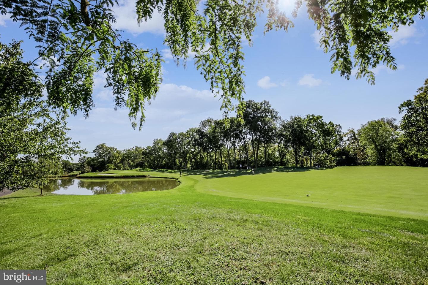 18229 Glen Abbey Court photo 71