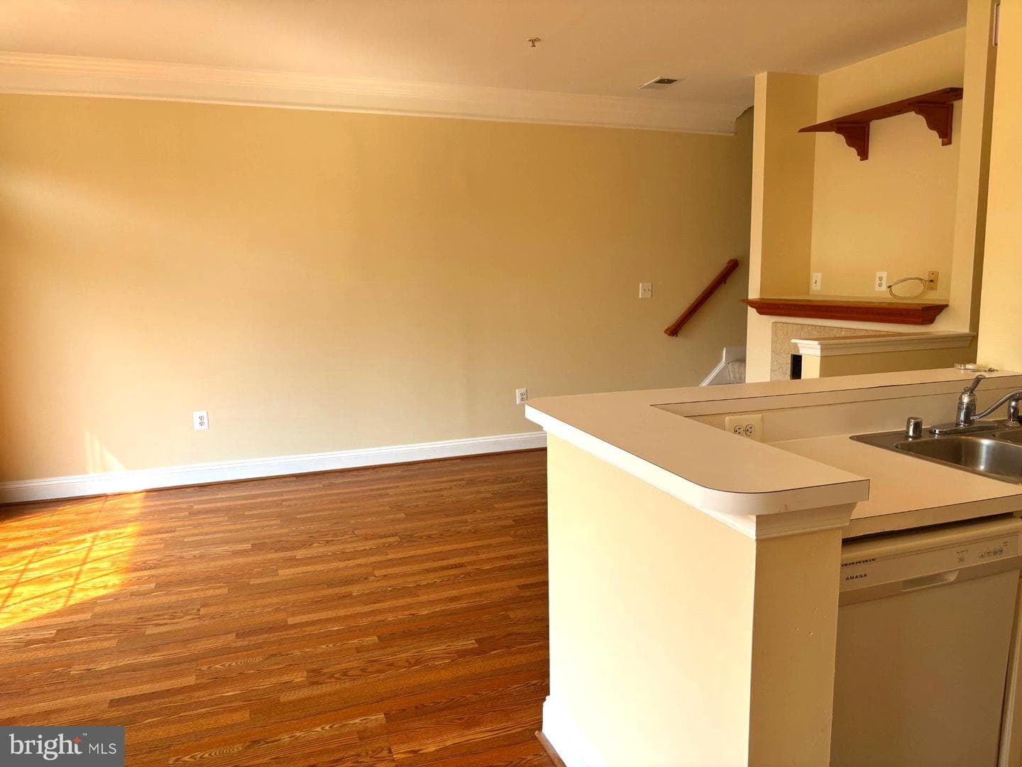 21156 Domain Terrace photo 14